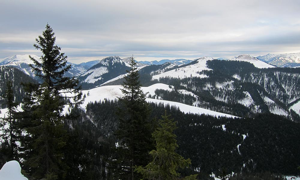 schwarzkogel